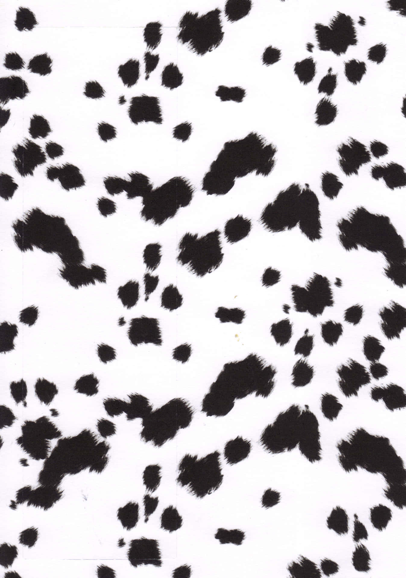 Dalmatian Print Dog Fur Texture Wallpaper