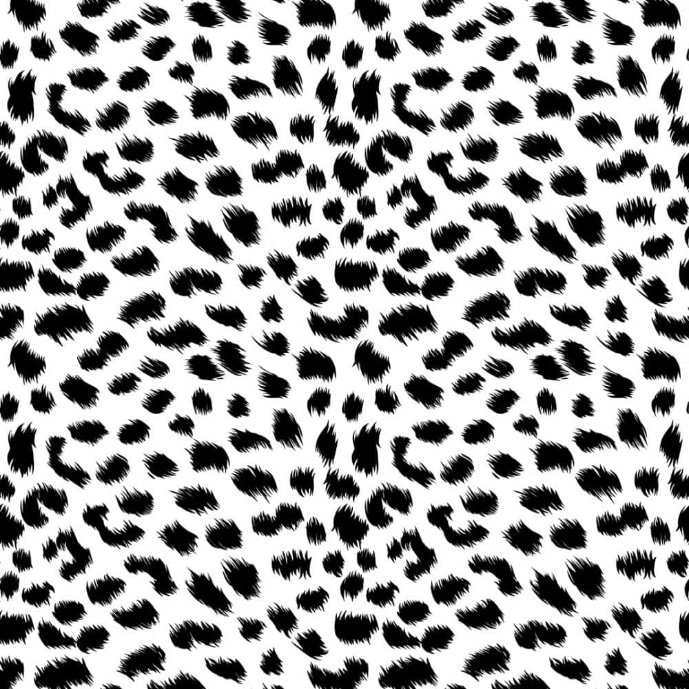 Dalmatiner Print 1000 X 1000 Wallpaper