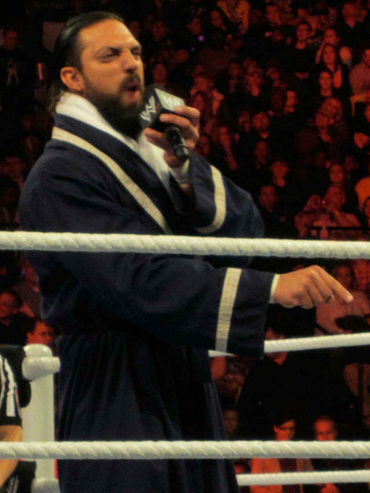 Damien Sandow WWE Bathrobe Suit Wallpaper