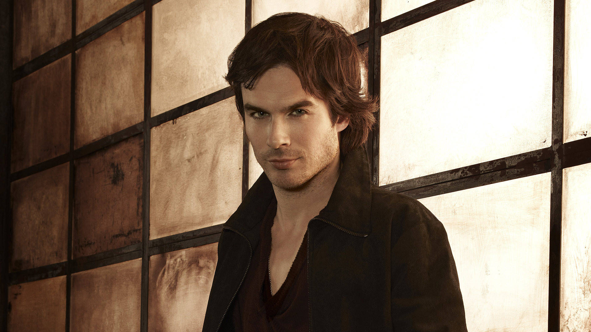 Damon Salvatore In The Vampire Diaries Wallpaper