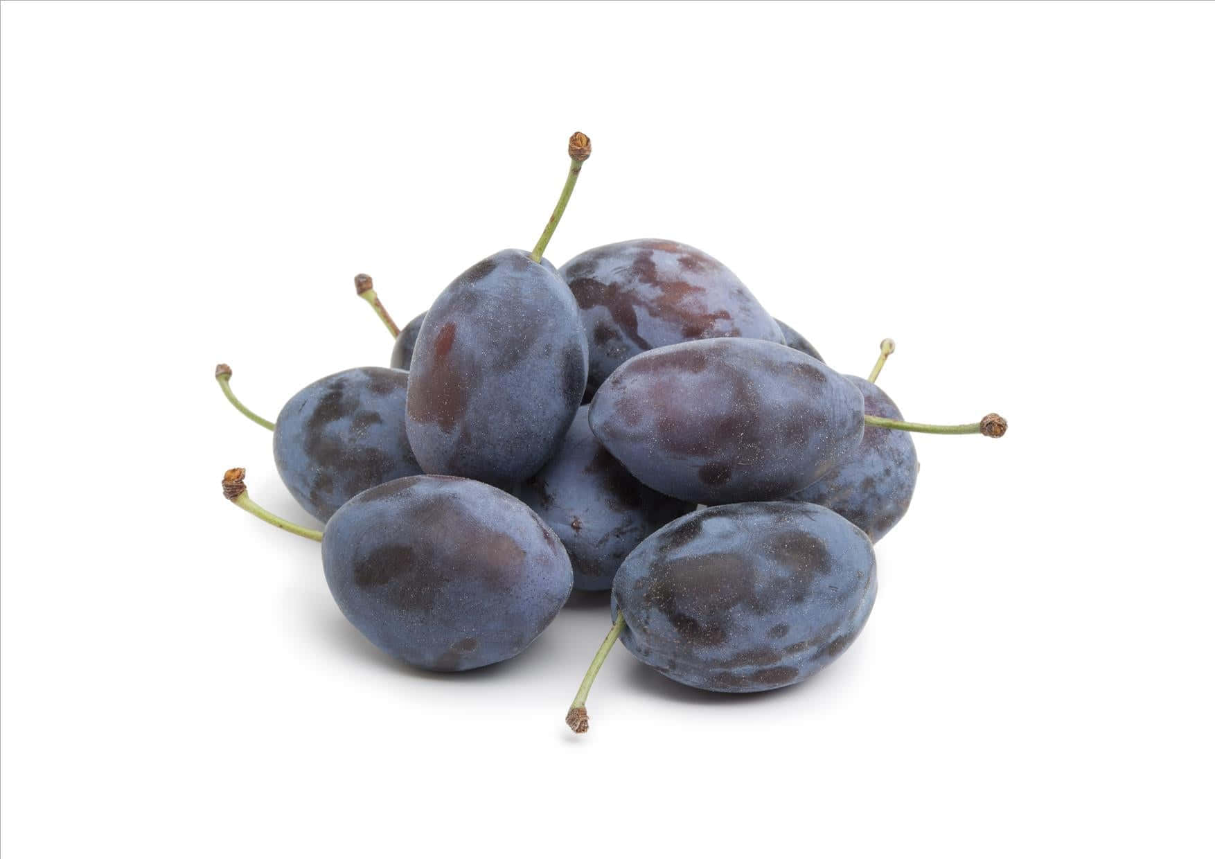 Damson Plums Bunch With Stems Wallpaper