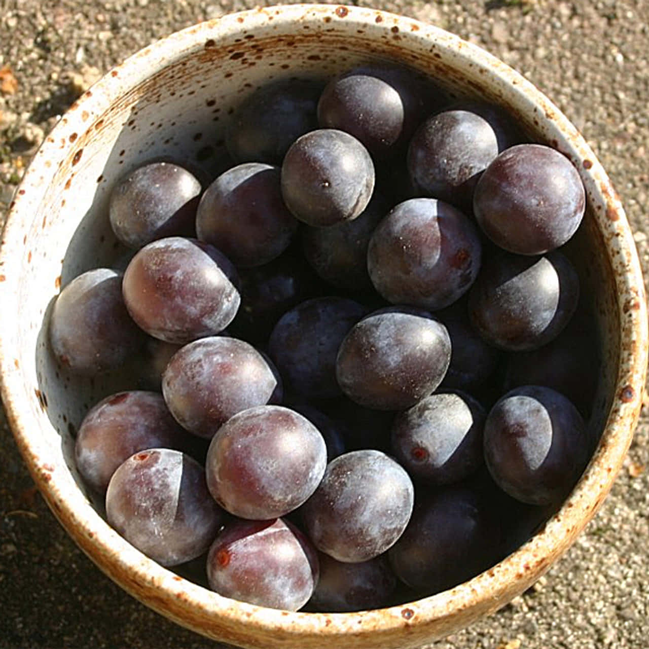 Damson Plums In A Bowl Wallpaper