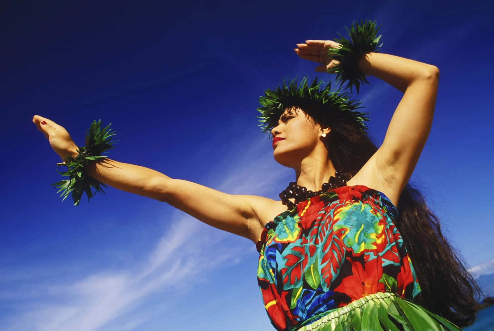 Hawaiian Dancer Picture