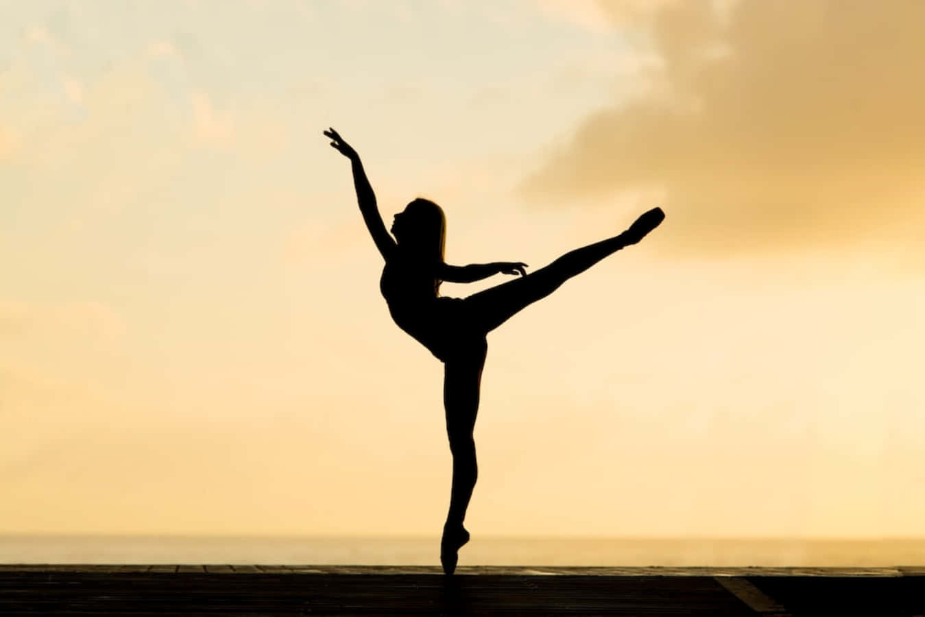 Immaginedi Una Ballerina Di Danza Classica In Silhouette