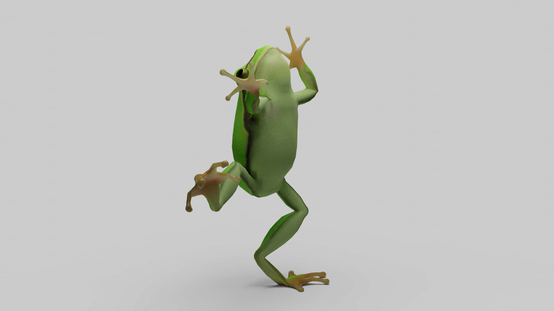 Dancing Frog Illustration Wallpaper