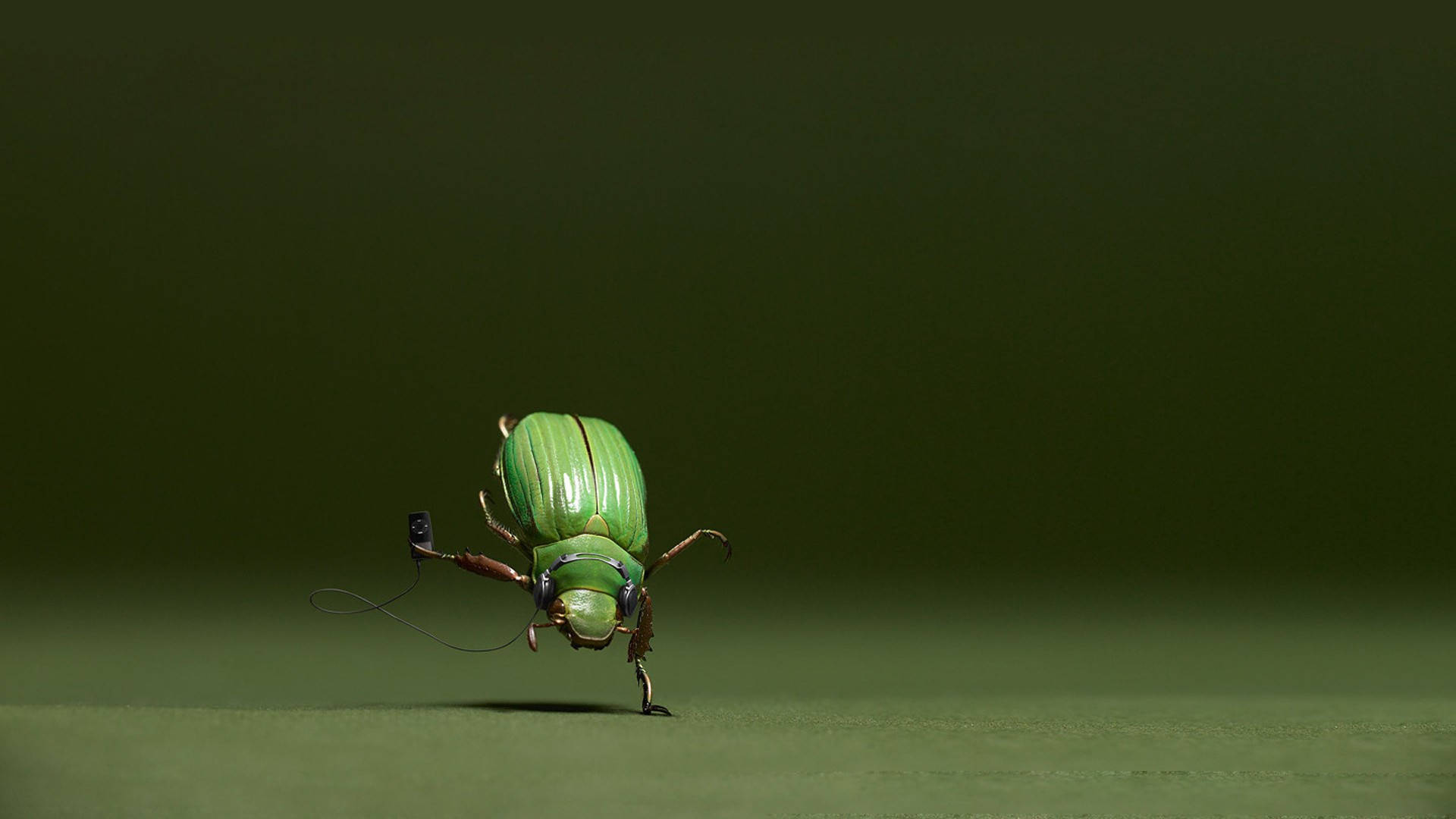 Dancing Green Beetle Wallpaper