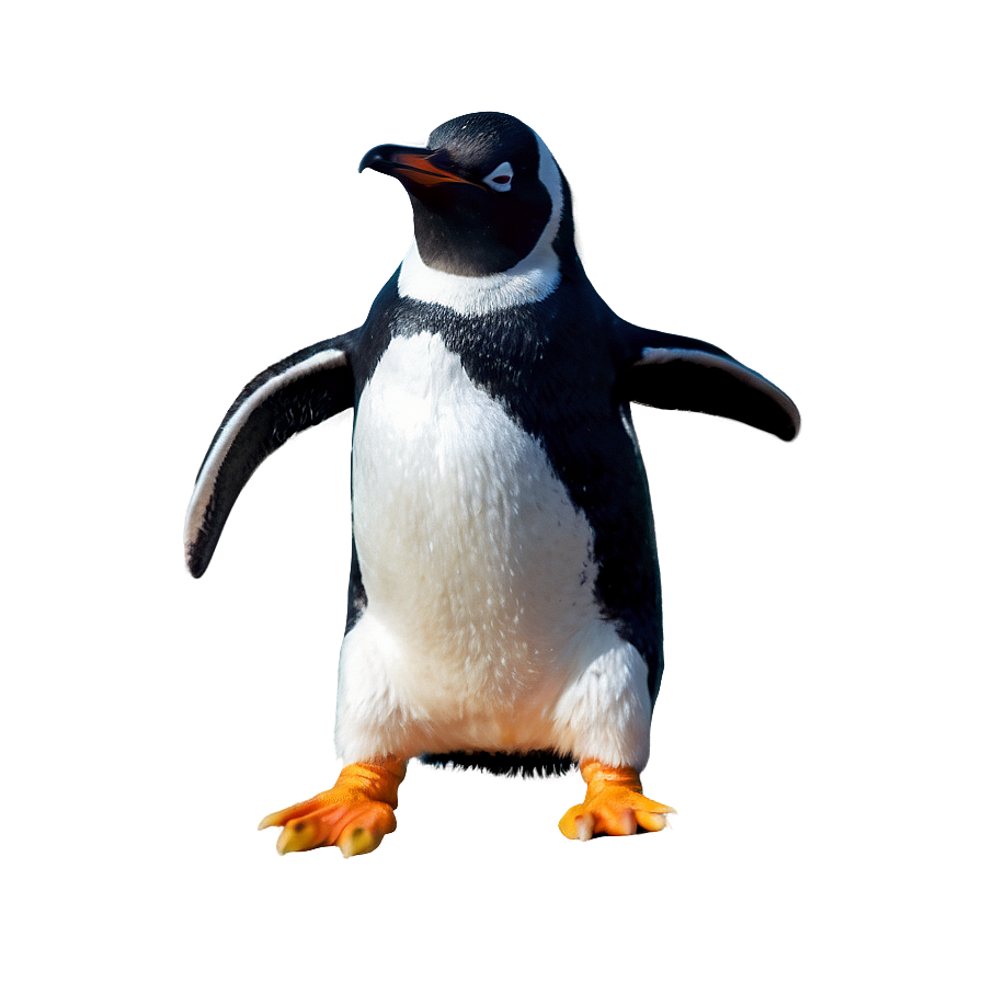 Dancing Penguin Png 05062024 PNG