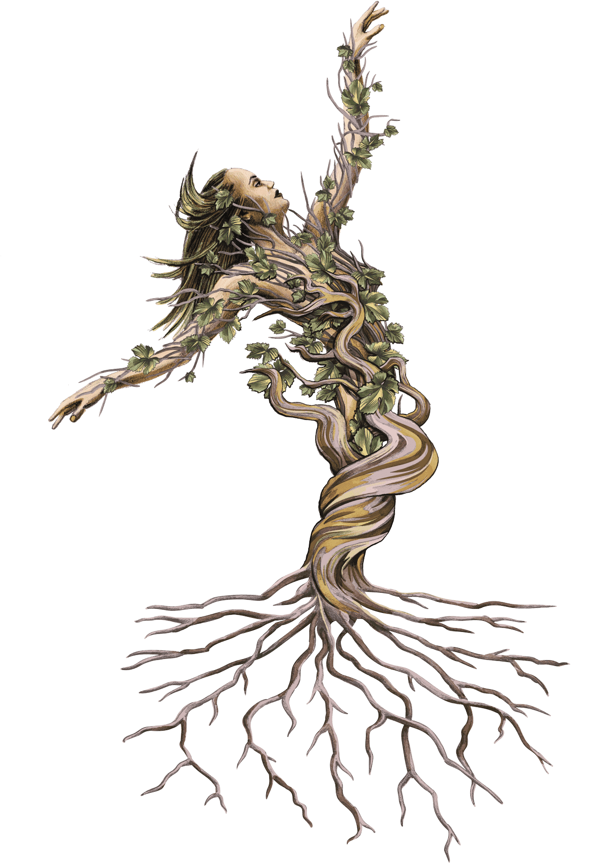 Dancing Vine Woman Artwork PNG