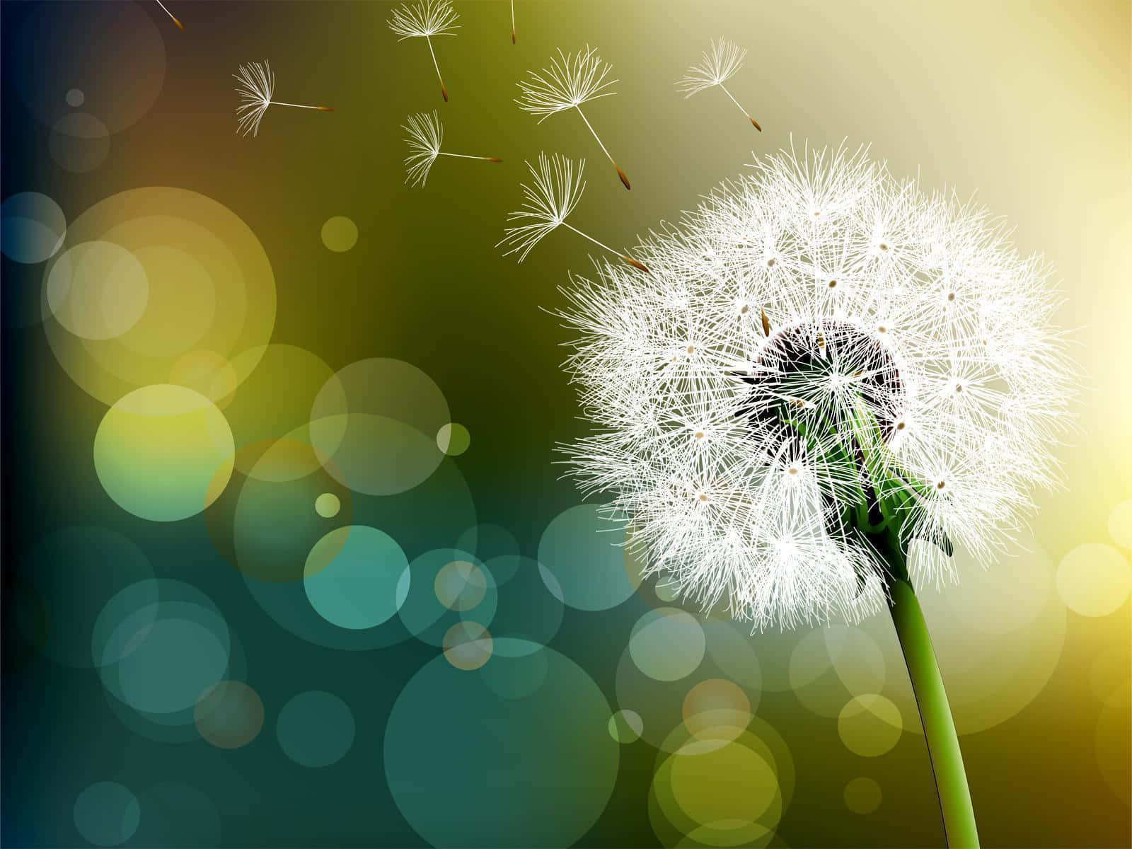 Stunning Dandelion Close-Up with Vivid Colors