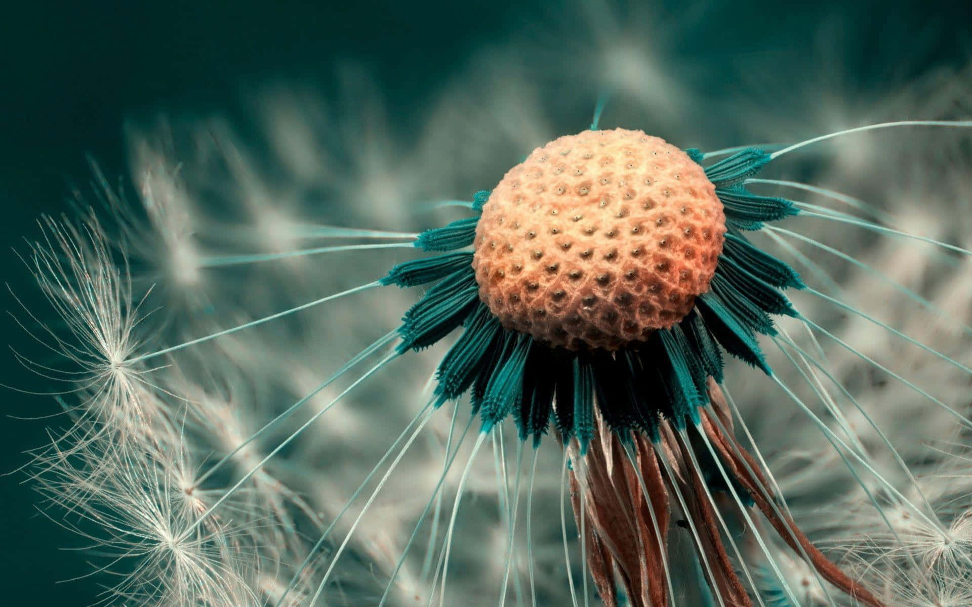 A stunning capture of a delicate dandelion against a blurred natural landscape.
