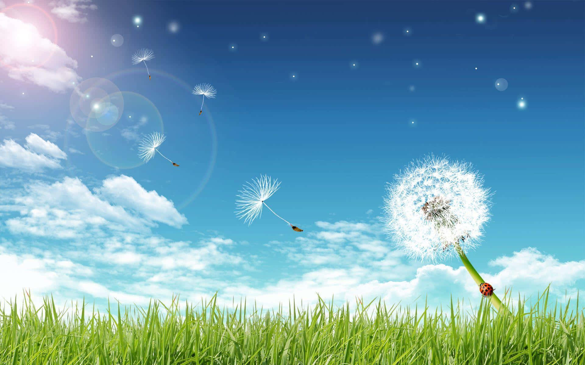 Beautiful Dandelion in Full Bloom Against a Vibrant Blue Sky