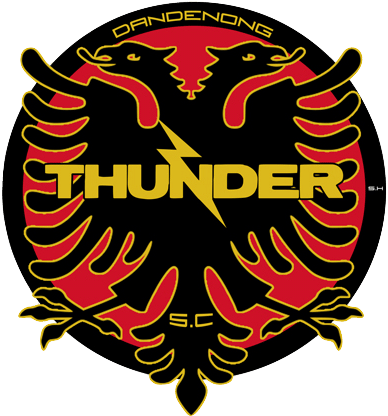 Dandenong Thunder S C Logo PNG