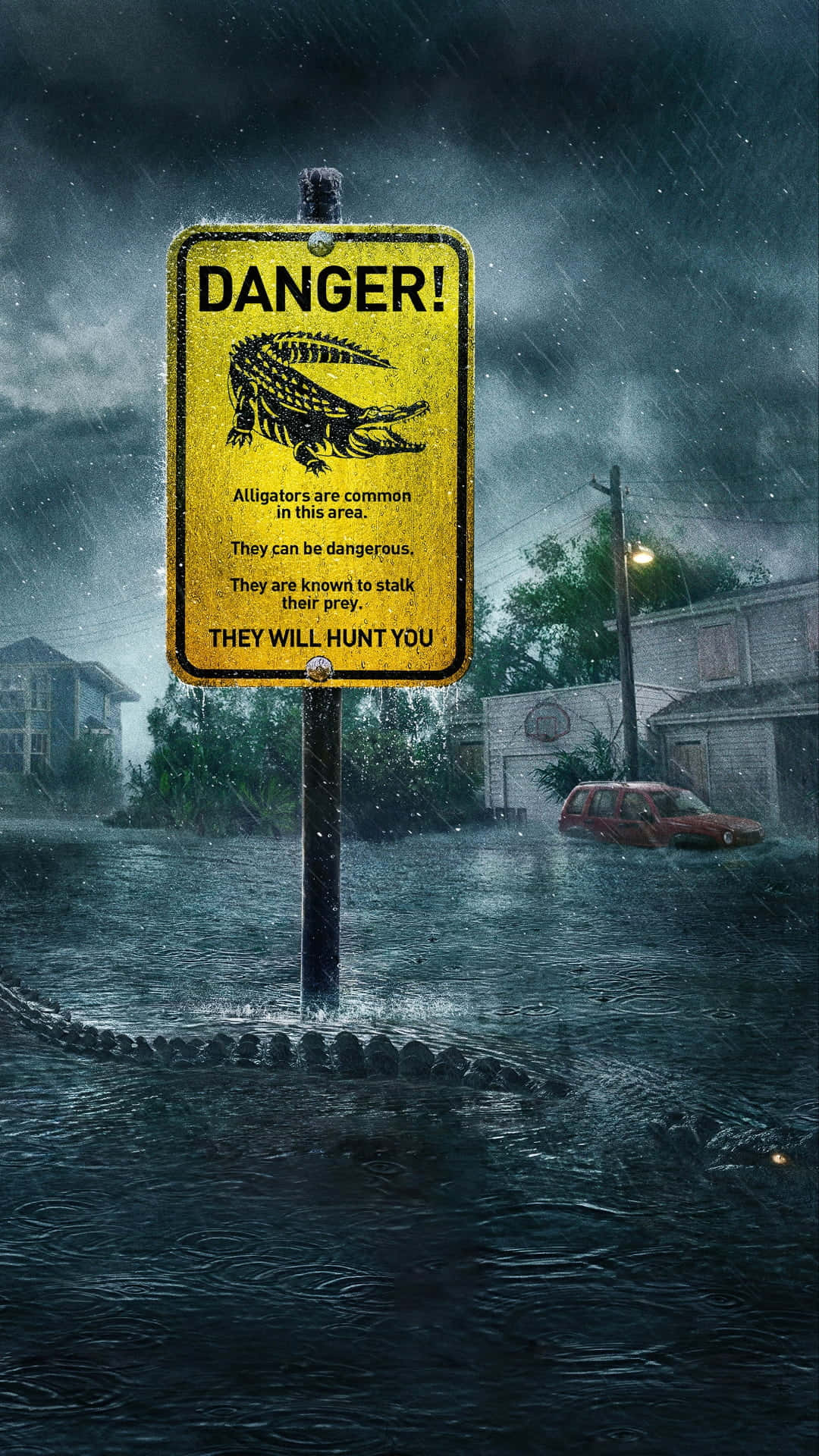 A Poster For Danger