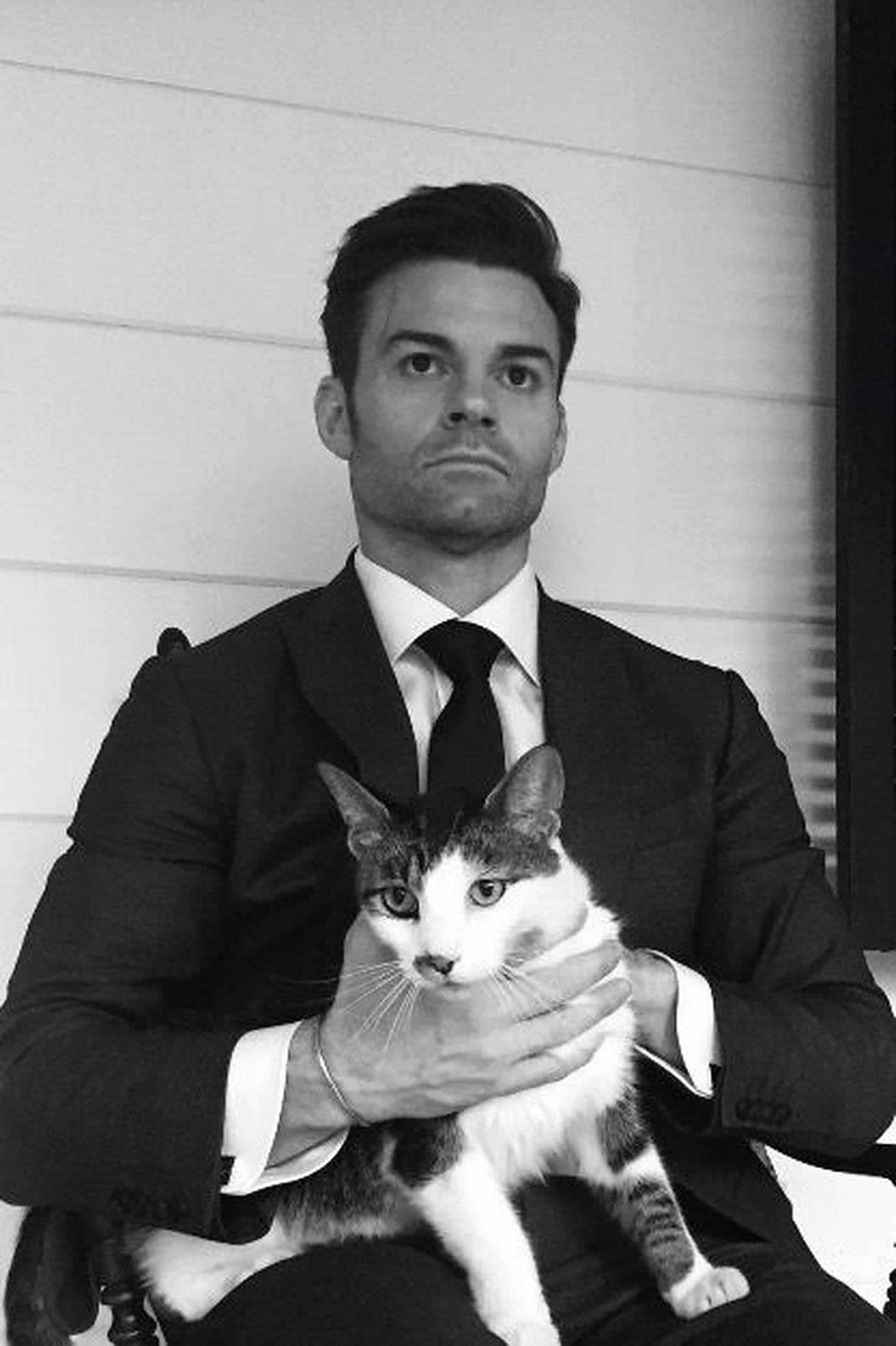 Daniel Gillies With Cat