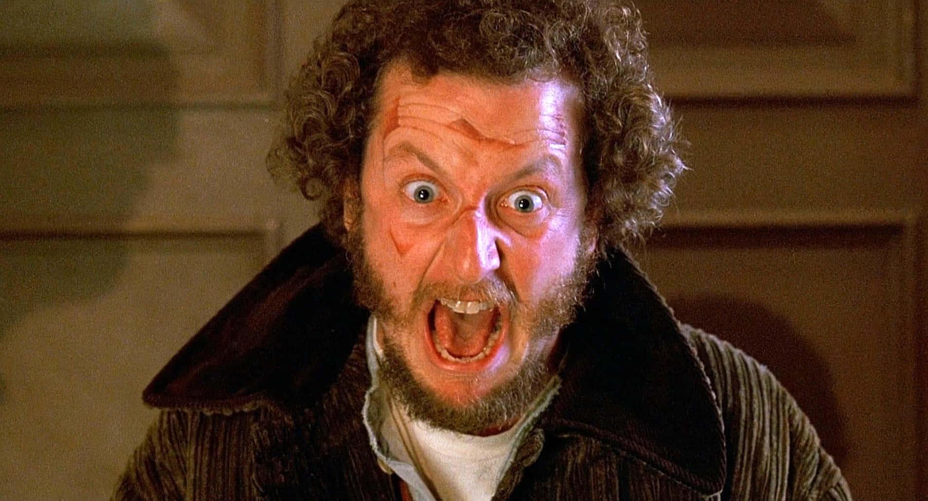 Daniel Stern [wallpaper] Wallpaper