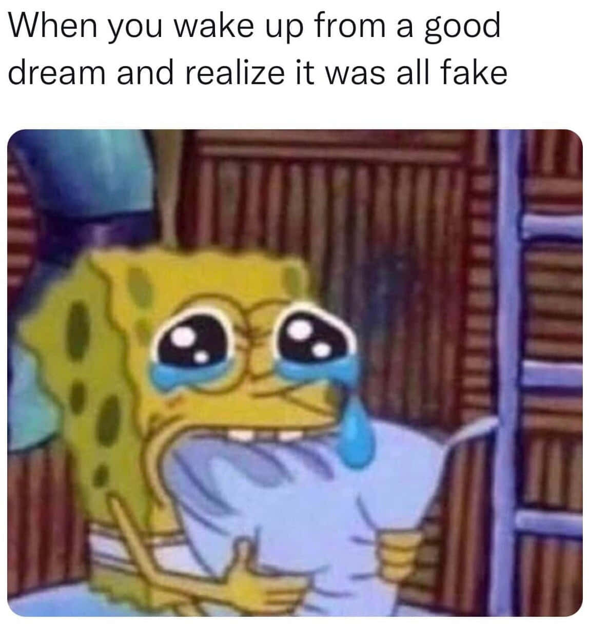 Spongebob With A Caption That Says When You Wake Up From A Good Dream And Realize It Was All Fake