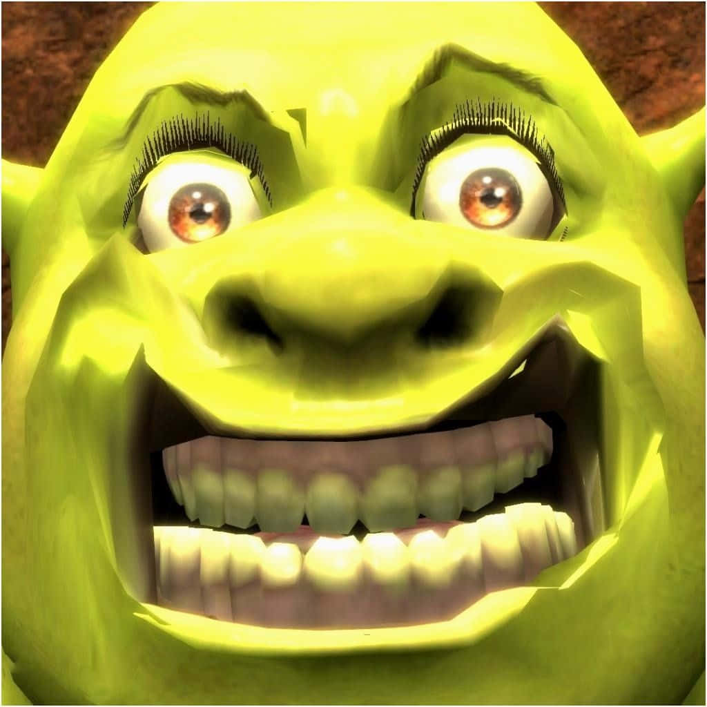 Angry Shrek Dank Memes Pictures