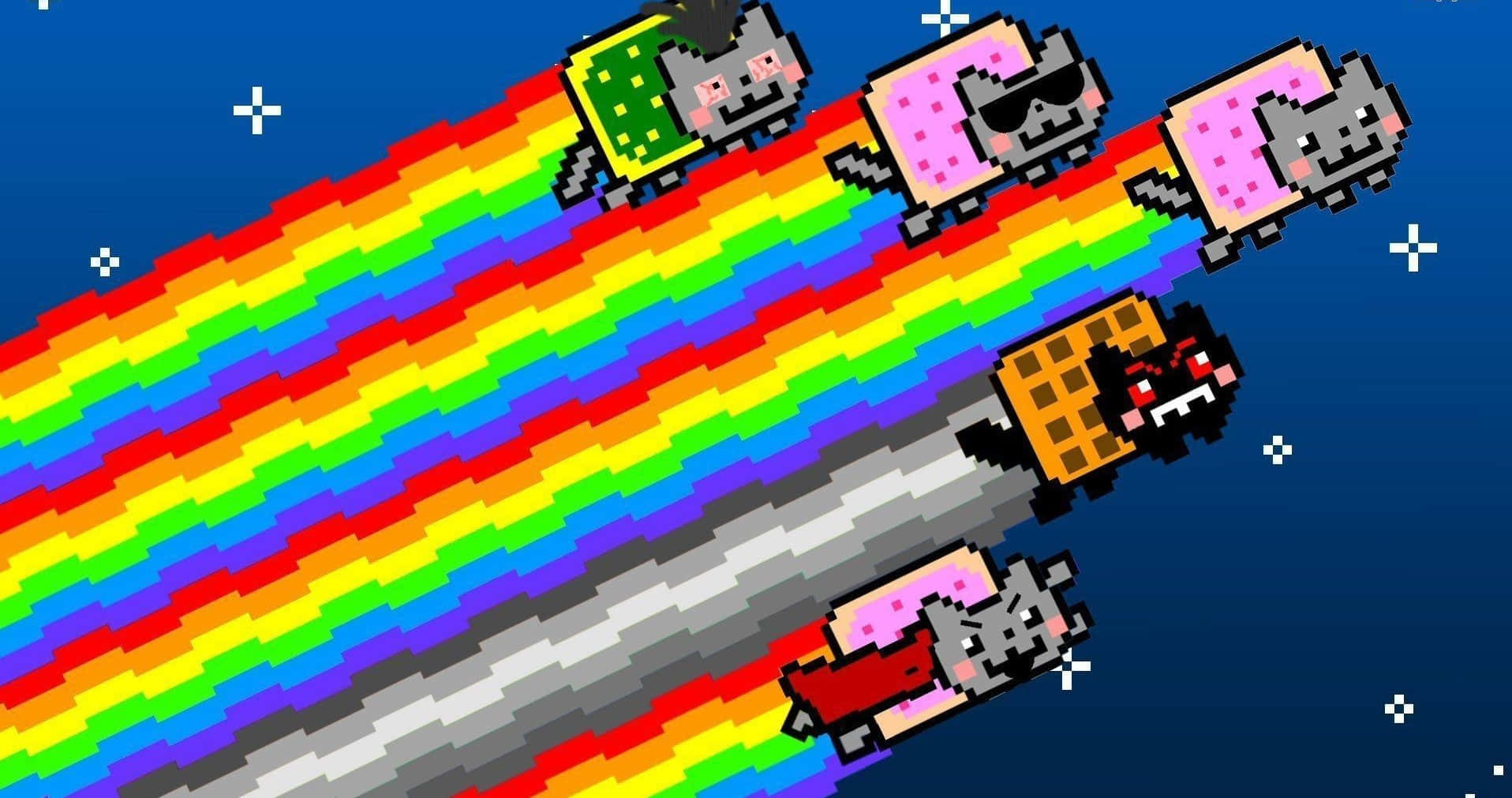 Regnbue Nyan Cat Dank Memer Billeder