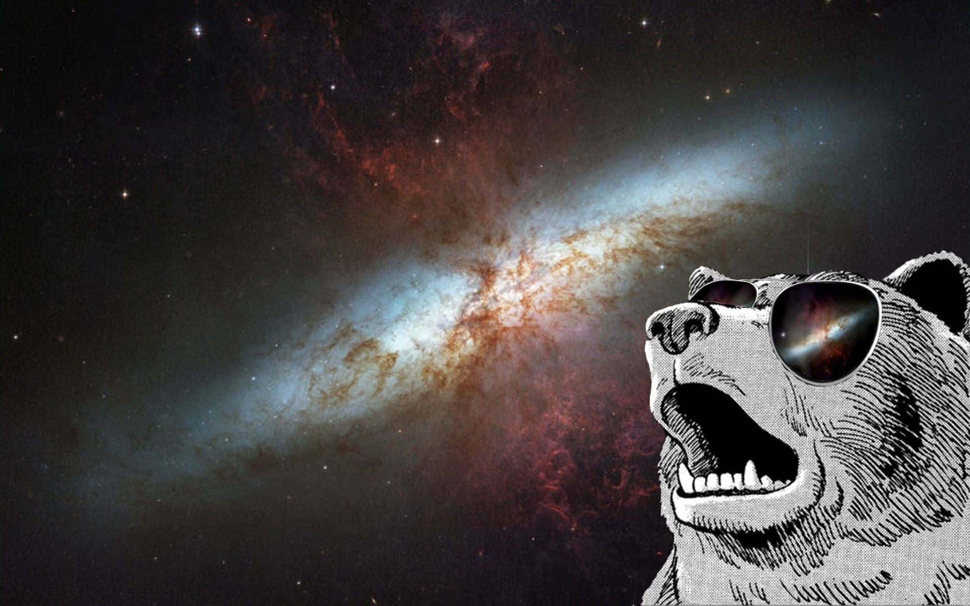 Space Bear Dank Memes Pictures