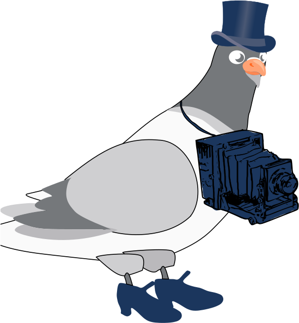 Dapper_ Pigeon_with_ Camera.png PNG