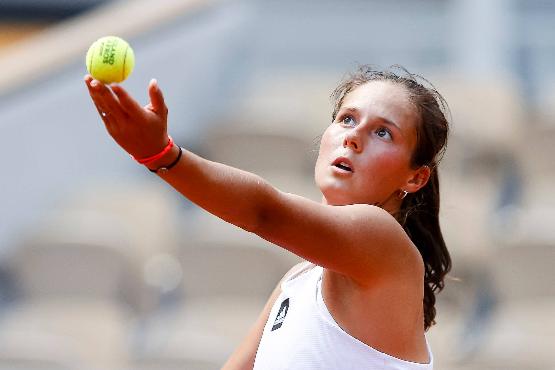 Professional Tennis Player Daria Kasatkina Prepares to Serve Wallpaper