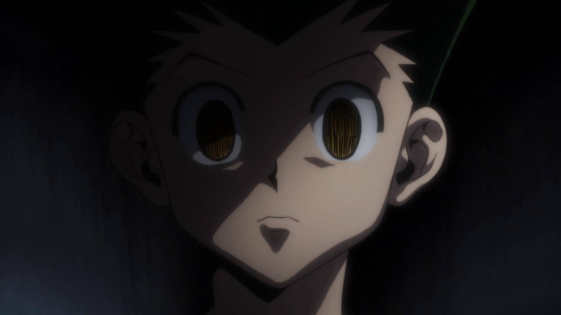 Dark Adult Gon Picture