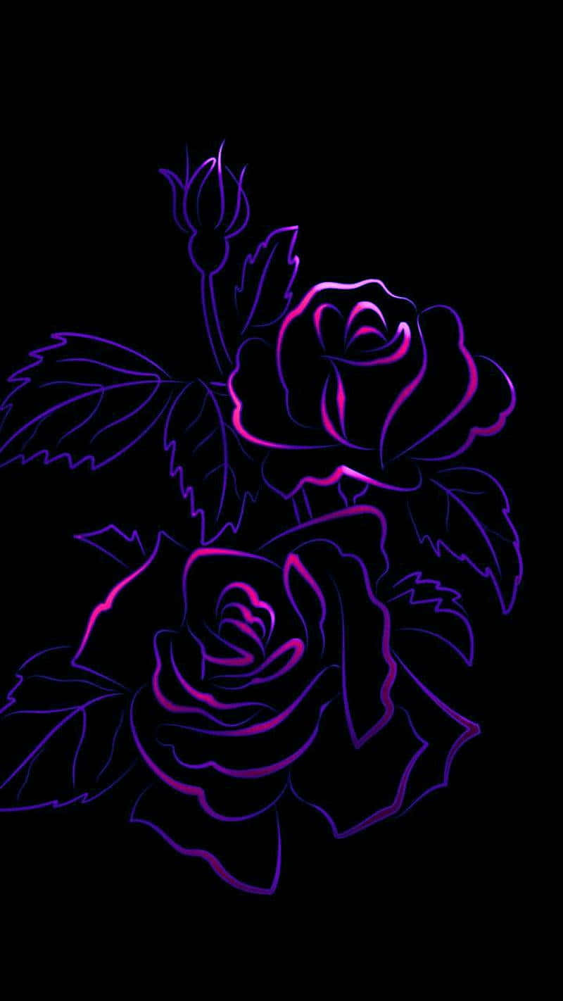 Imagenoscura Estética De Rosa Púrpura En Neón
