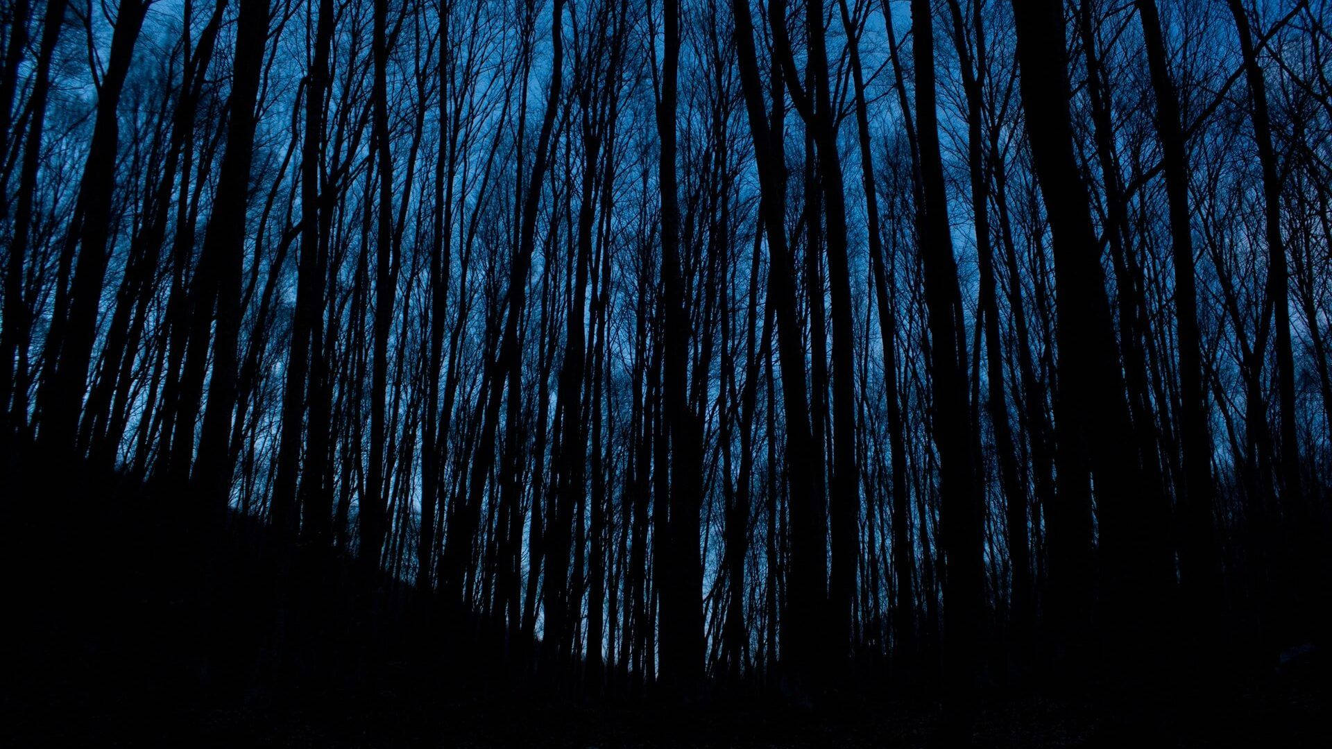 Dark Aesthetic Shadow Trees