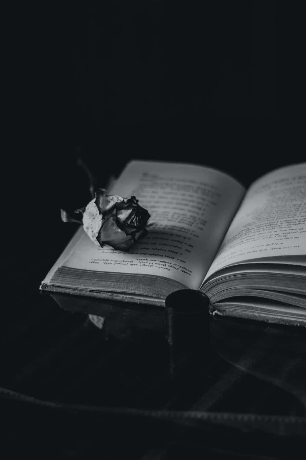 Dark_ Aesthetic_ Withered_ Rose_on_ Open_ Book Wallpaper