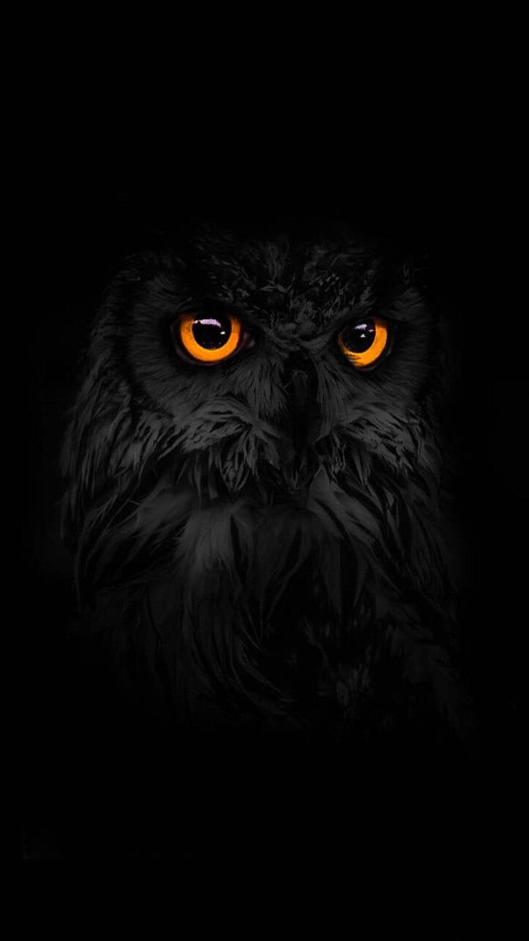 Dark Android Eurasian Owl Eyes Wallpaper