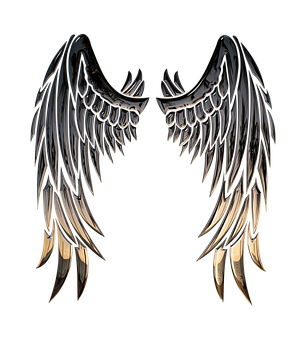 Dark Angel Wings Artwork PNG