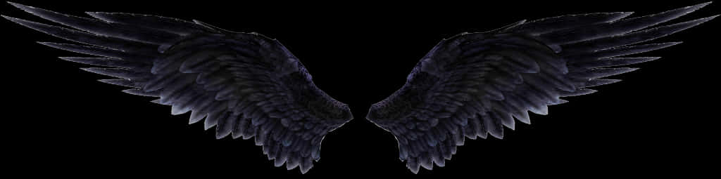 Dark Angel Wings Spread PNG