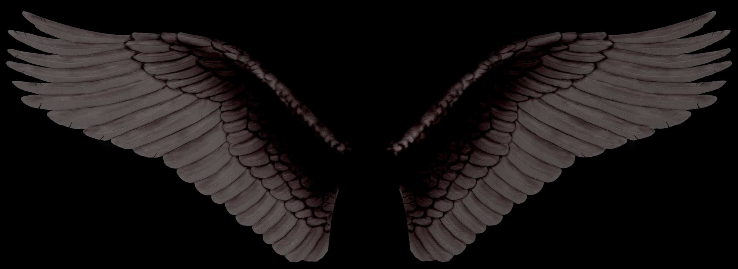 Dark Angel Wings Spread PNG