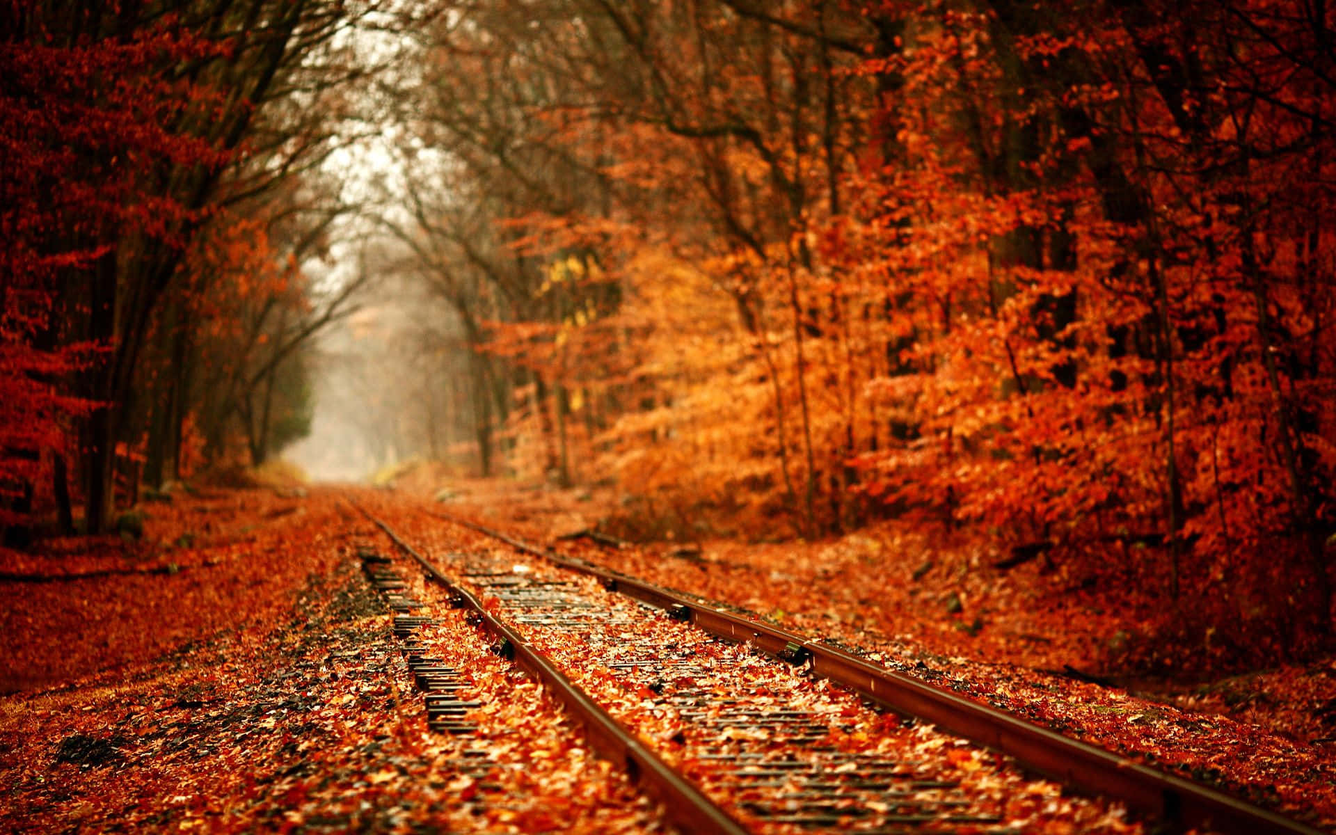 Dark Autumn By The Railroad Wallpaper