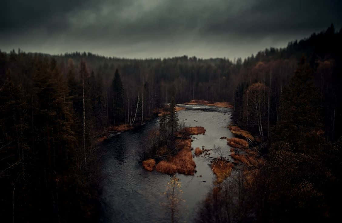 Dark Autumn Forest By The Swamp Wallpaper