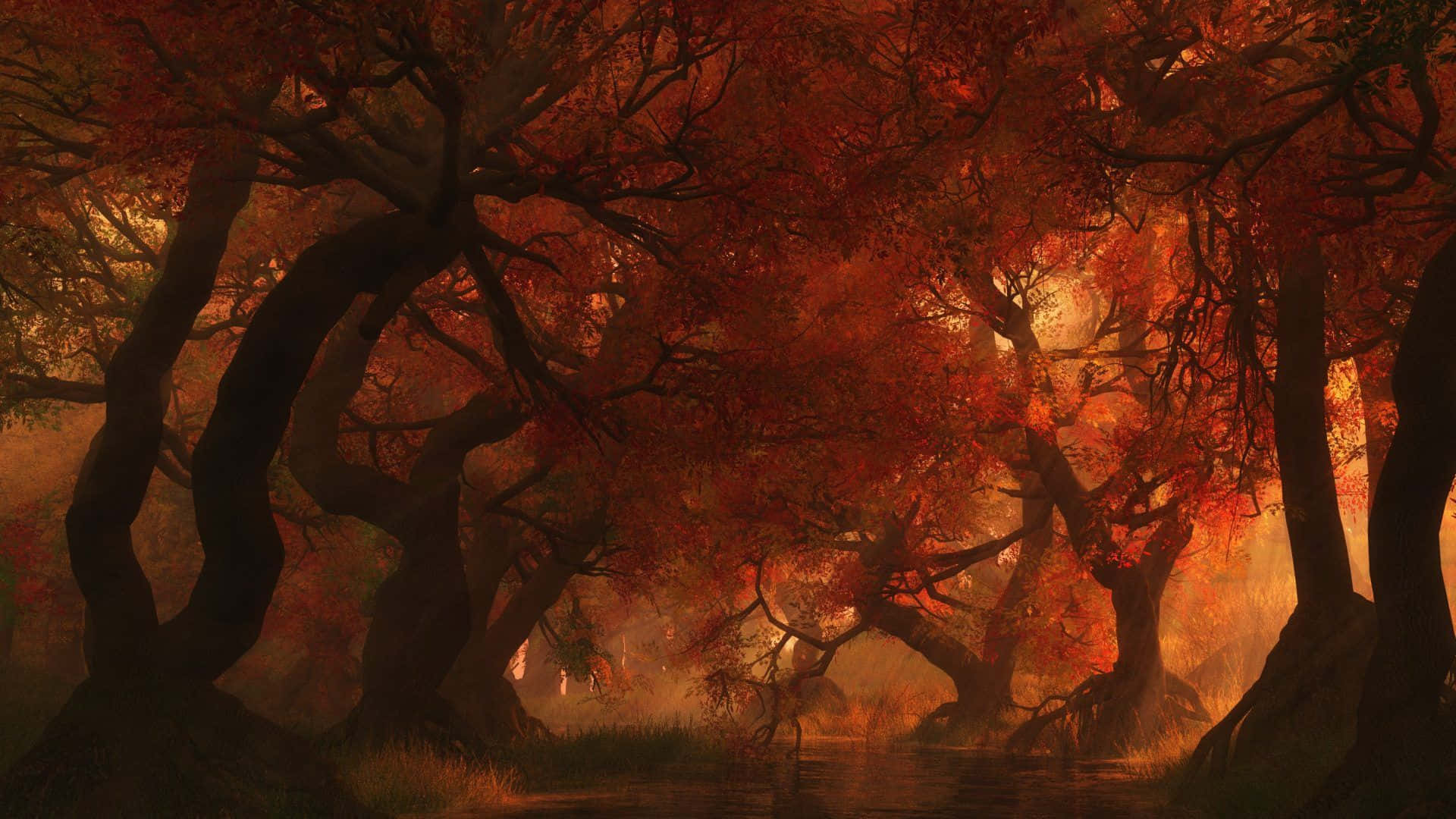 Dark Autumn Forest With Wrinkled Trees Wallpaper