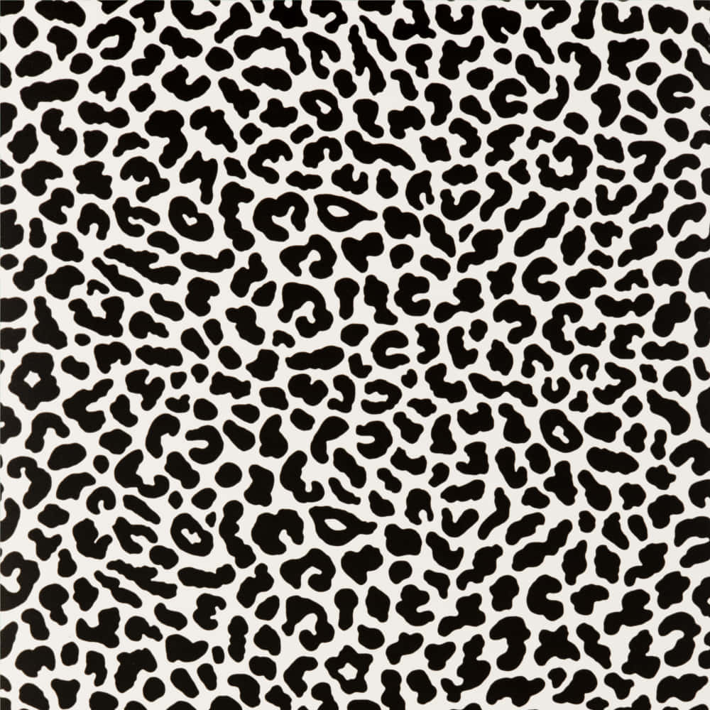 Dark Black Aesthetic Cute Cheetah Print Wallpaper