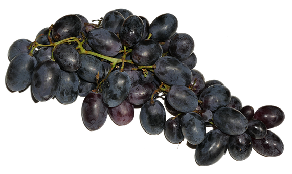 Dark Black Grapes Cluster PNG