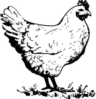 Dark Blank Canvas PNG