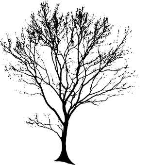 Dark Blank Canvas PNG