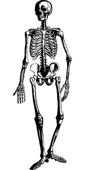 Dark Blank Canvas PNG