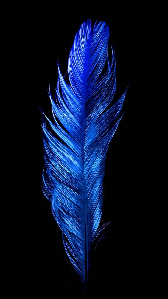 Dark Blue Aesthetic Tumblr Feather Wallpaper