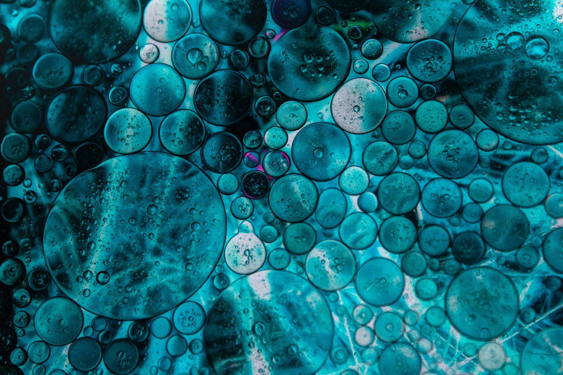 Enjoy the beauty of the dark blue bubbles Wallpaper