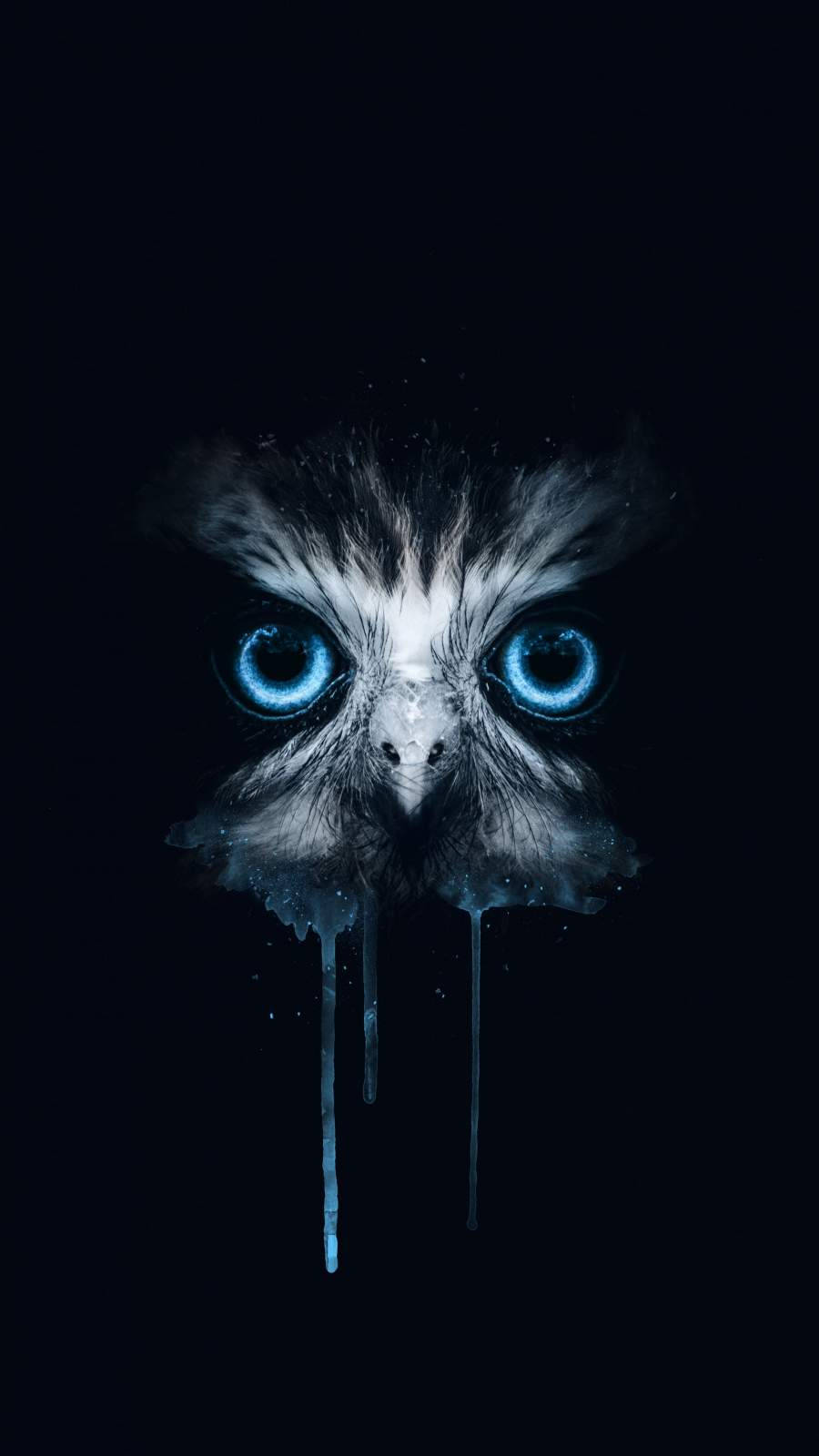En ugle med blå øjne på en sort baggrund Wallpaper
