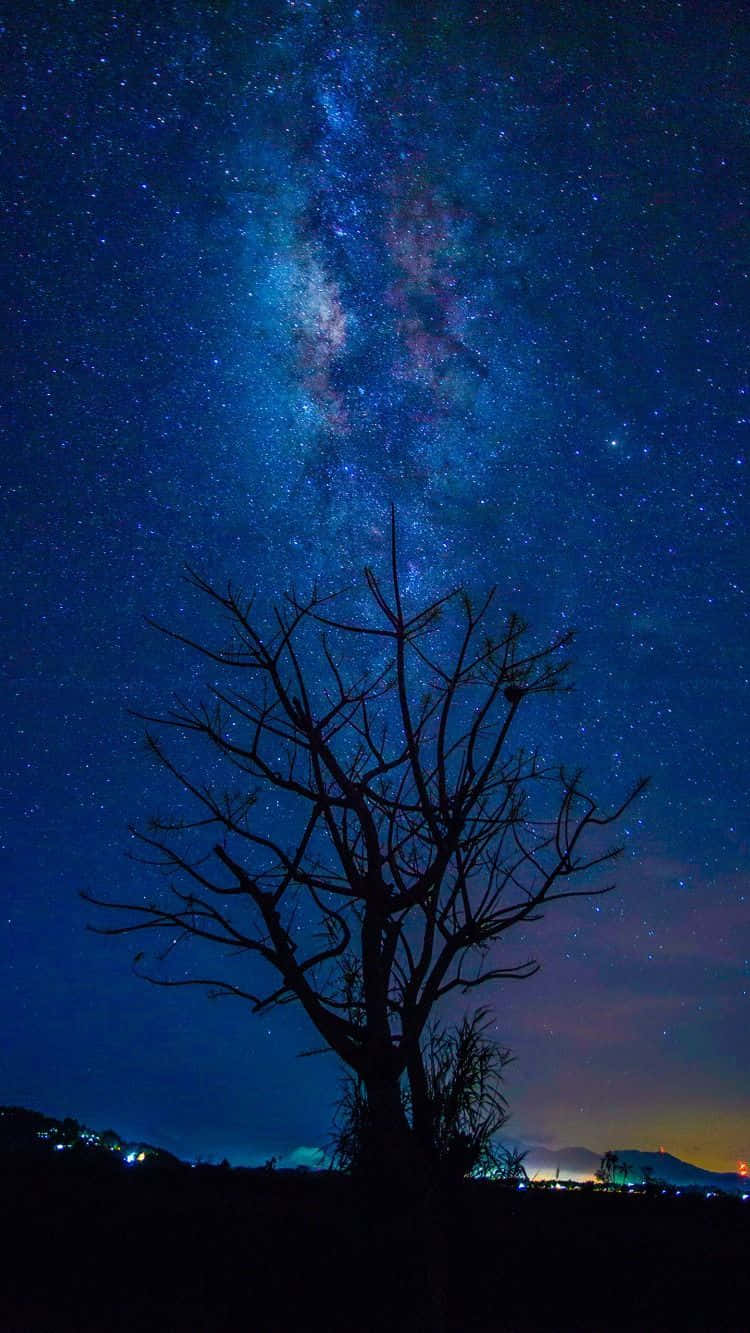 Dark Blue Star Tree Galaxy Wallpaper
