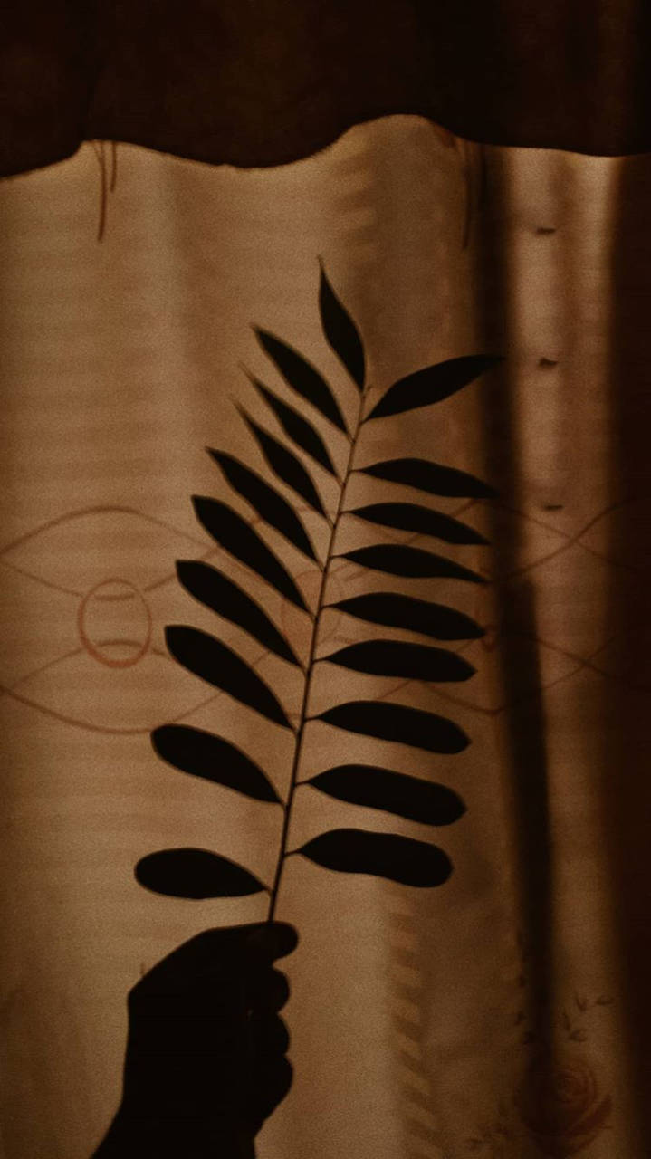 Dark Brown Aesthetic Leaf Wallpaper
