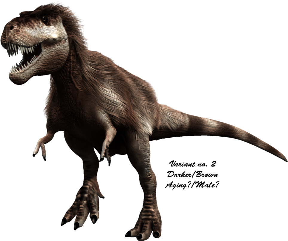 Dark Brown Tyrannosaurus Rex Variant PNG