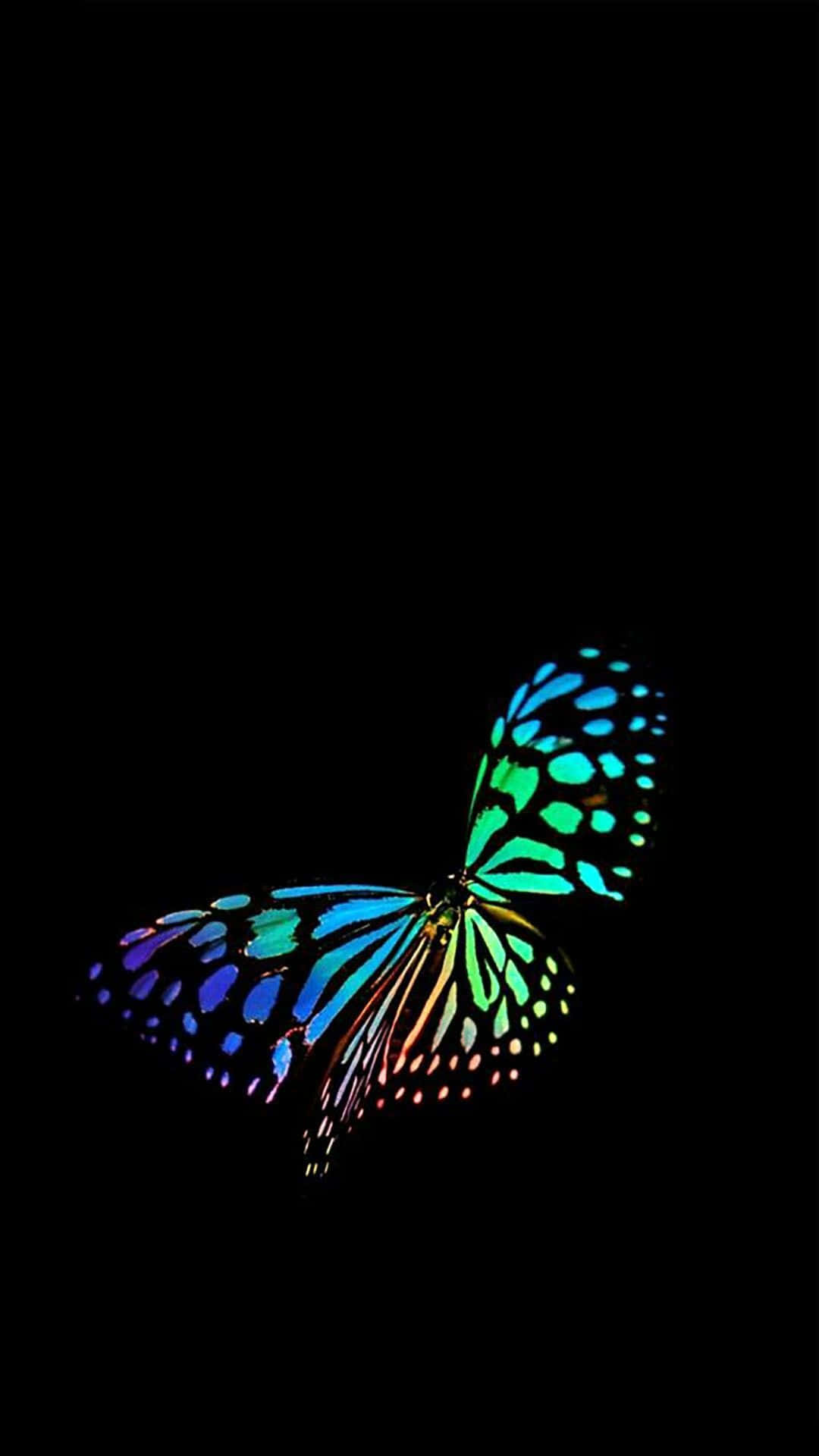 Dark Butterfly Perched on a Midnight Bloom Wallpaper