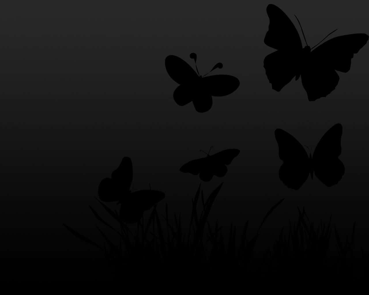 Mariposaoscura Impresionante En Una Noche Misteriosa Fondo de pantalla