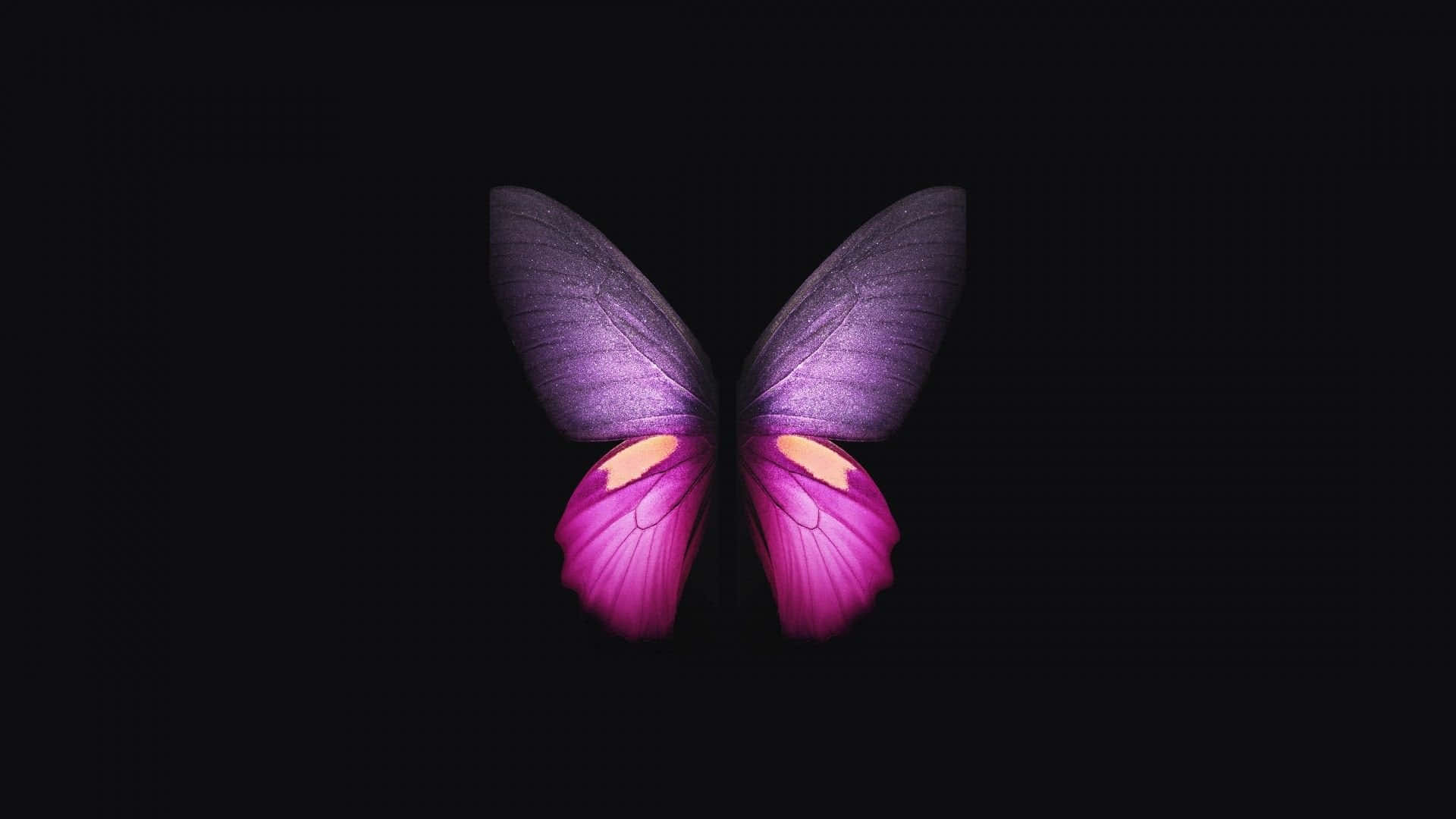 Enchanting Dark Butterfly on a Mysterious Background Wallpaper